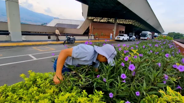 Relatos de viaje Luis Adrián Bedoya - Terminales Medellín 3