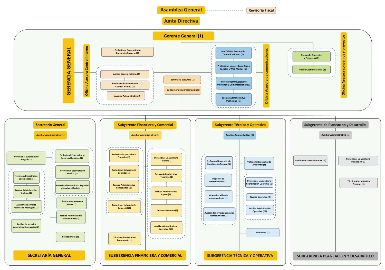 Organigrama TTM 2025